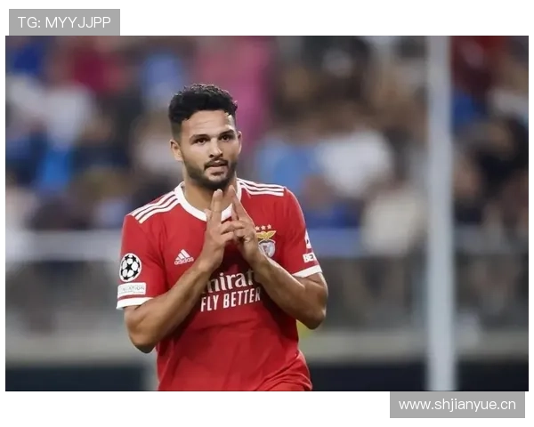 努涅斯本菲卡时期荣誉解析：成名基础是否奠定